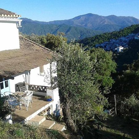 Casa El Chaparral Songbird Mountain Benadalid Exterior photo