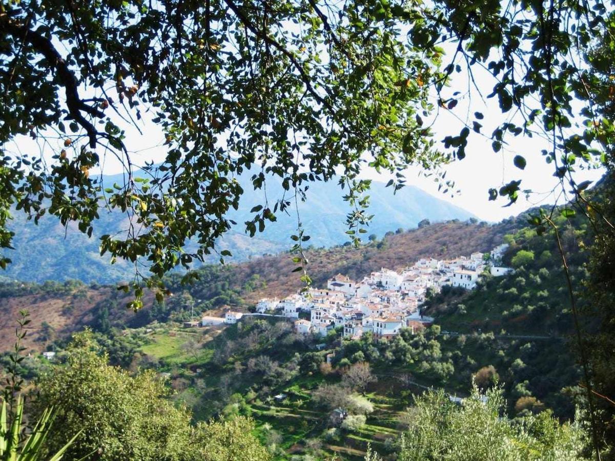 Casa El Chaparral Songbird Mountain Benadalid Exterior photo