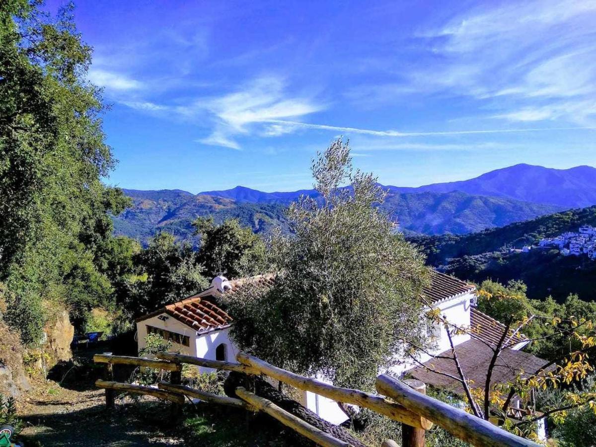 Casa El Chaparral Songbird Mountain Benadalid Exterior photo