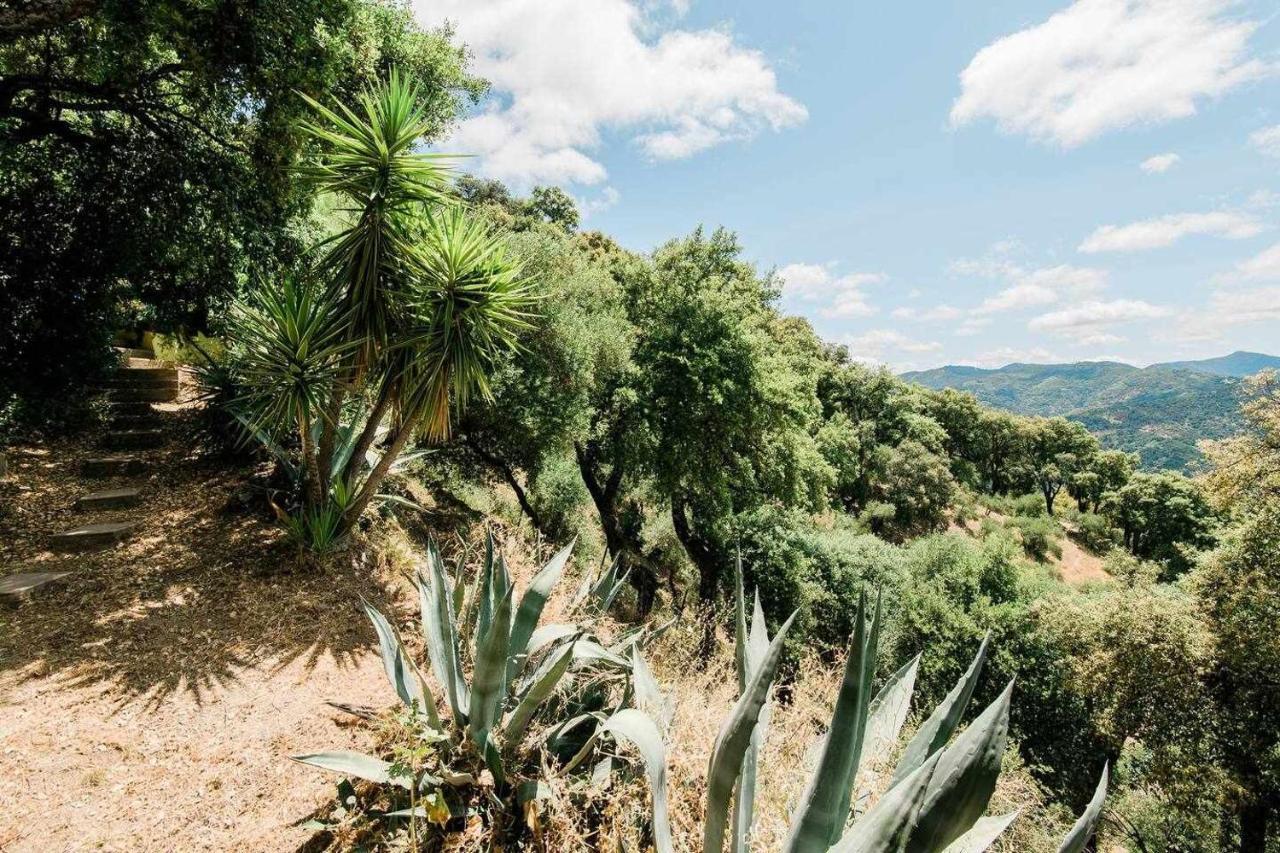 Casa El Chaparral Songbird Mountain Benadalid Exterior photo