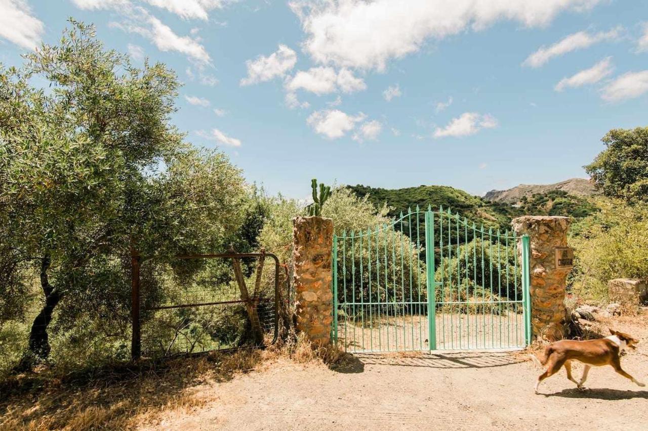 Casa El Chaparral Songbird Mountain Benadalid Exterior photo